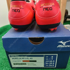 미즈노 모렐리아 네오 kl ag 260