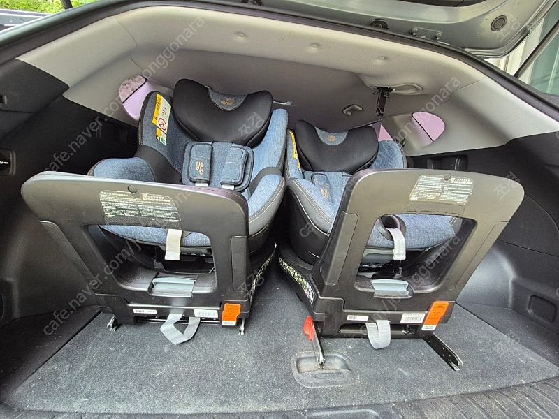 브라이텍스 듀얼픽스 아이사이즈 회전형 2개 (세탁완료) 독일제조 이미지