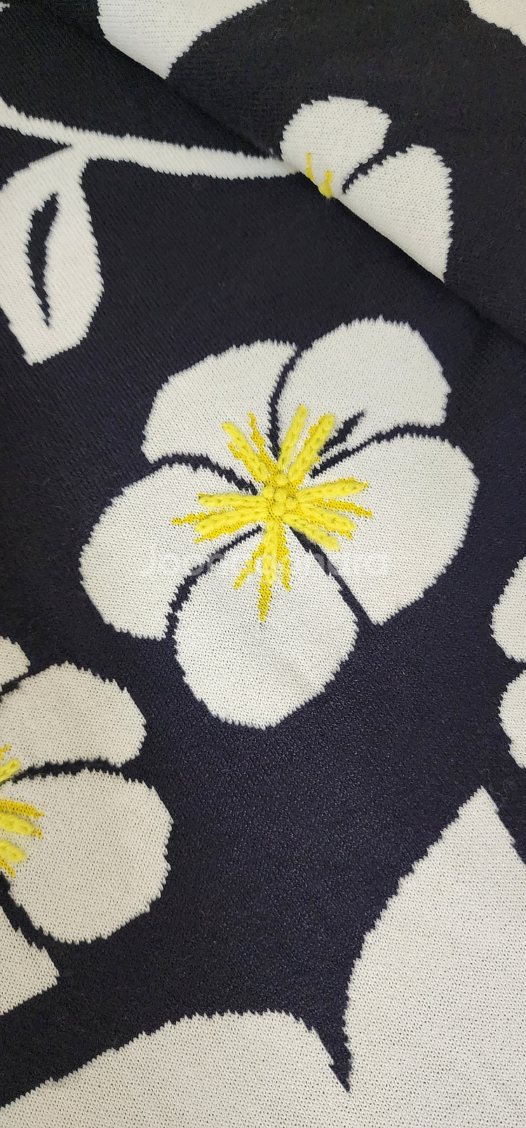 가격인하)세인트제임스 뮤베르 비비안웨스트우드 이자벨마랑 에리카 까발리니 래트바이트--6