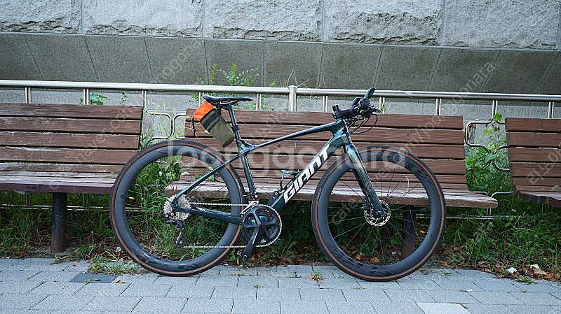 자이언트 패스트로드 어드밴스1 카본 하이브리드--1