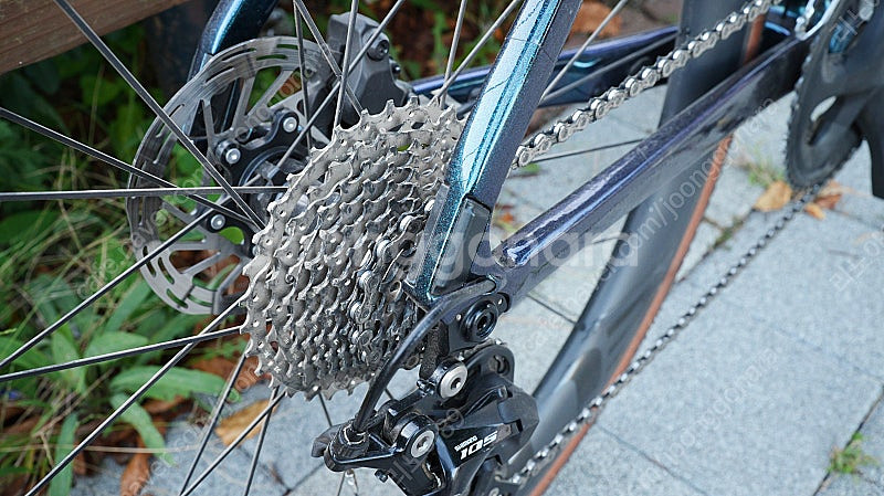 자이언트 패스트로드 어드밴스1 카본 하이브리드--4