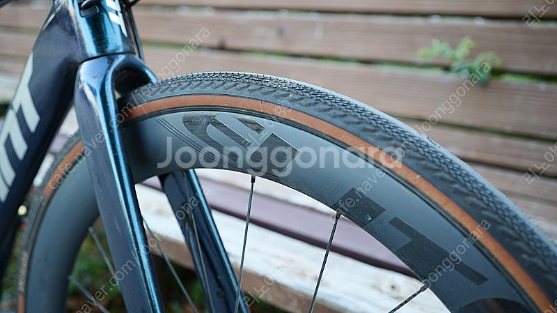 자이언트 패스트로드 어드밴스1 카본 하이브리드--6