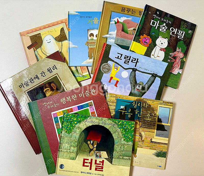 앤서니 브라운 그림책 / 비룡소 시공주니어 수상작 그림책--0