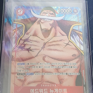 원피스 정상결전 에드워드 뉴게이트 4.5만(SR)