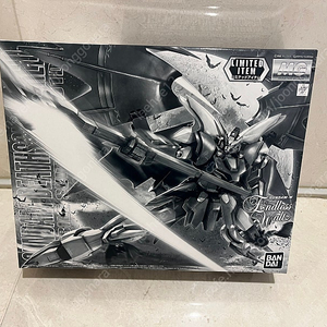 MG RG MGSD HG 건담W 30주년 콘트라스트 윙