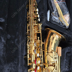 취미용 뮐러 색소폰