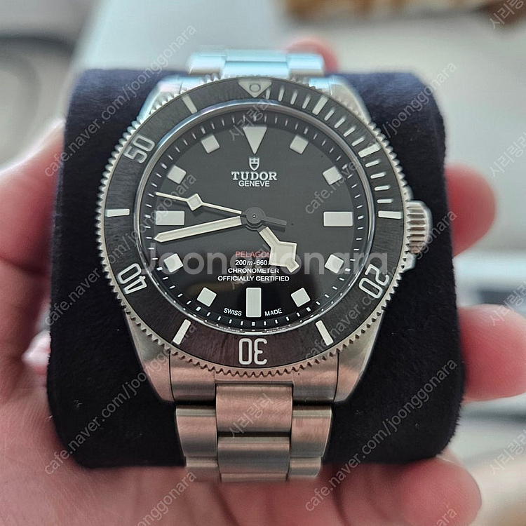 펠라고스 39 판매합니다.--1