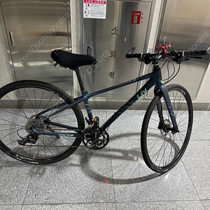 자이언트 리브 트라이브 XS사이즈