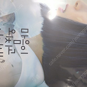 날씨의 아이 마그넷,드로잉 카드, 모노노케히메 TTT,강변의 무코리타 포스터