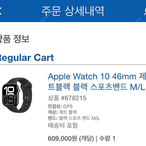 애플워치 10 제트블랙 GPS, (셀룰러 아님) 46미리, 줄 M/L 8월 15일 구매