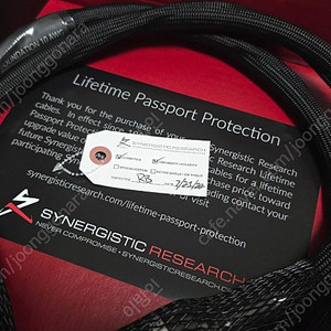 시너지스틱 리서치 파운데이션 SX 10awg 파워케이블 판매합니다