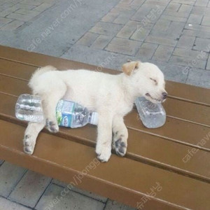 cgv 귀시 5000 이외 영화 9500 메가박스 9000 영화 예매 여러장 가능