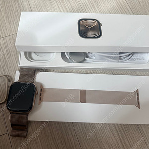 애플워치 10 티타늄골드 46mm 정리합니다.
