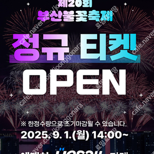 [ 부산 ] 제20회 부산불꽃축제 / R석 , S석 / 테이블석 2연석