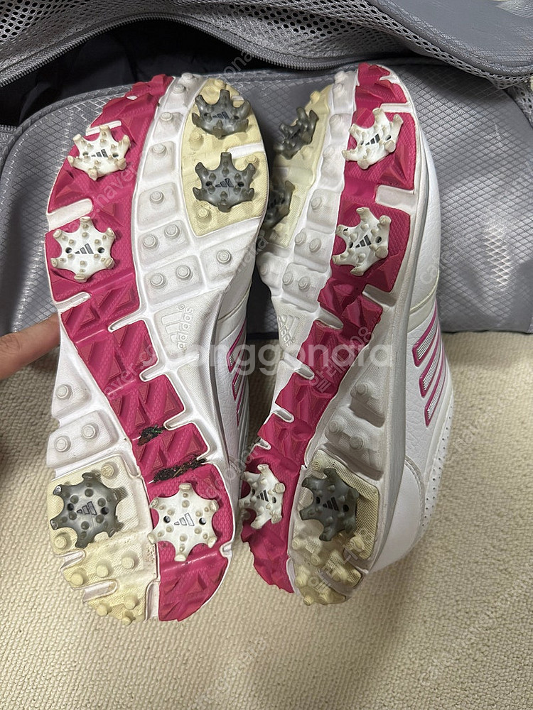 아디다스 골프화 225 + 슈즈백포함--4