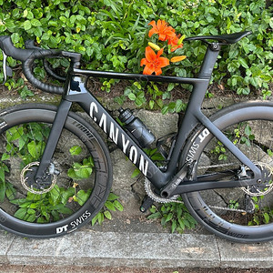 캐니언 에어로드 CF SLX8 포스이탭. M