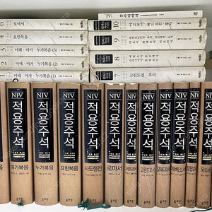 신약 NIV적용주석