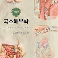 해부학 교과서 국소해부학 4판 스프링 제본 한것 팝니다