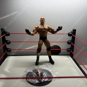 Wwe피규어여러개팝니다