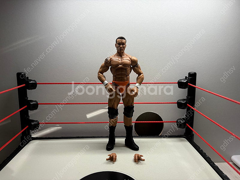 Wwe피규어여러개팝니다--1