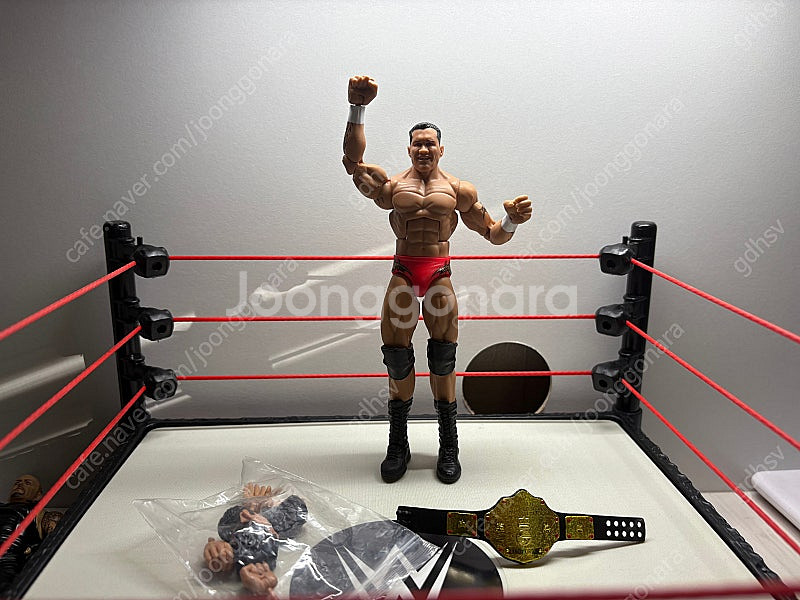 Wwe피규어여러개팝니다--3