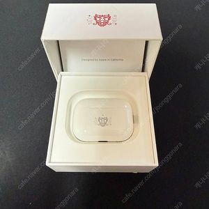 에어팟 프로 2세대 설맞이 한정판 용 에디션