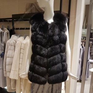 클레버바이 진도모피 사가폭스 퍼베스트
