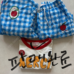베베드피노 셋업