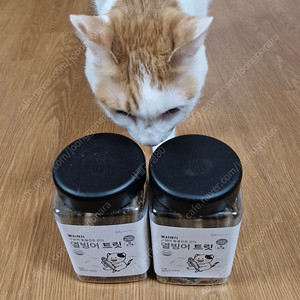 고양이 간식 열빙어 트릿