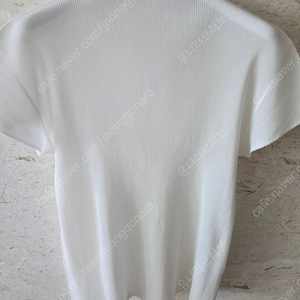 플리츠플리즈 반목 미스트