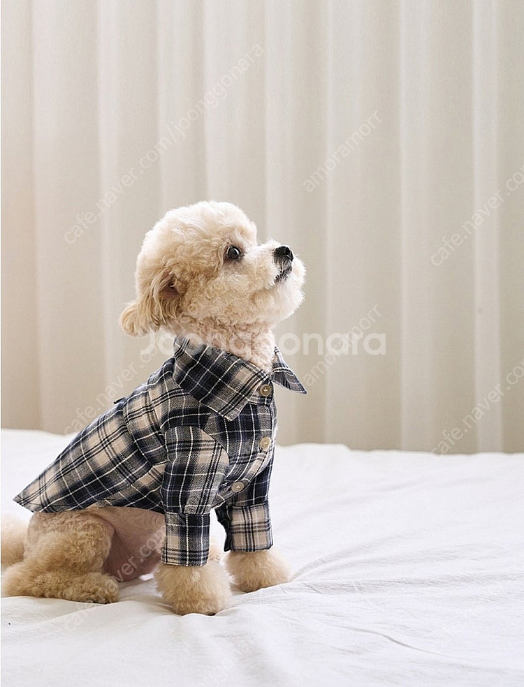 새상품 XL ) 체크셔츠 강아지옷 반려견 애견의류 봄가을룩 레이어드룩 트로이스포인트--0