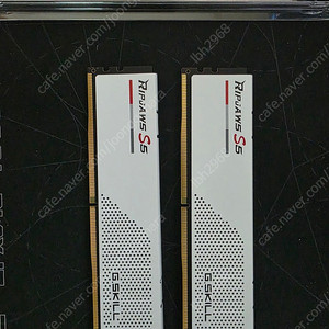 지스킬 ddr5 32gb(6000)