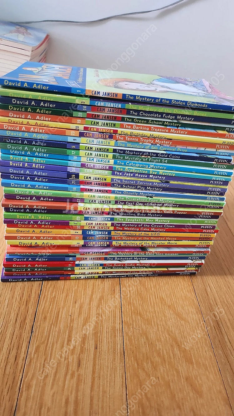 Cam Jansen Mystery 페이퍼백--0