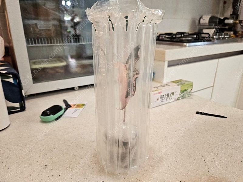 알로카시아 찬트리에 핑크바리에가타--6