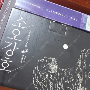 김용 소설 소오강호