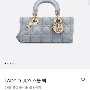 디올 레이디 디조이 스몰 이터리얼그레이