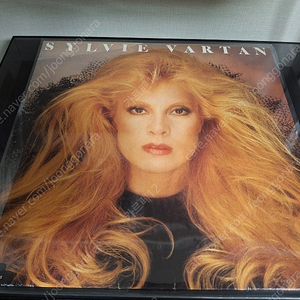 <수입 LP> 실비 바르탕 Sylvie Vartan 희귀 엘피