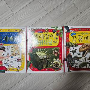 글송이 공룡, 희귀식물, 인체백과