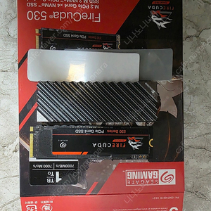 씨게이트 파이어쿠다 530 M2