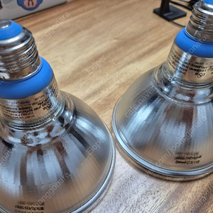 필립스 식물등 PAR38 E26(15.5w) 3개