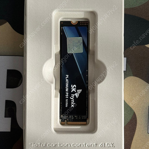 SK하이닉스 PCIE 5.0 P51 플래티넘 2TB