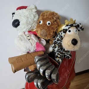 여성용 다이와 골프채 풀세트 판매합니다~!