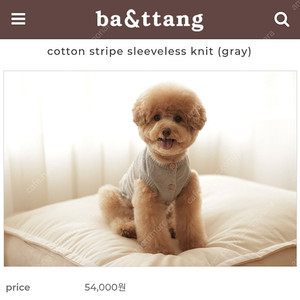 2XL) 바앤땅 그레이 코튼 스트라이프 니트 강아지옷 고양이옷