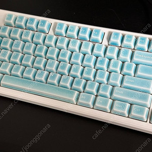 상태 최상/ 레오폴드 세라키 8bitdo 독거미 팝니다