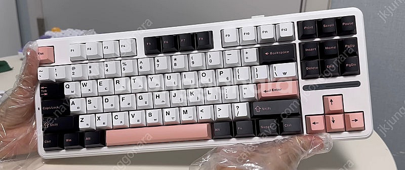 상태 최상/ 레오폴드 세라키 8bitdo 독거미 팝니다--3