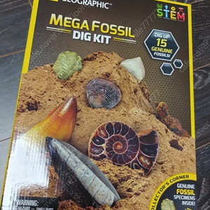 내셔널지오그래픽 화석 발굴 키트 fossil dig kit
