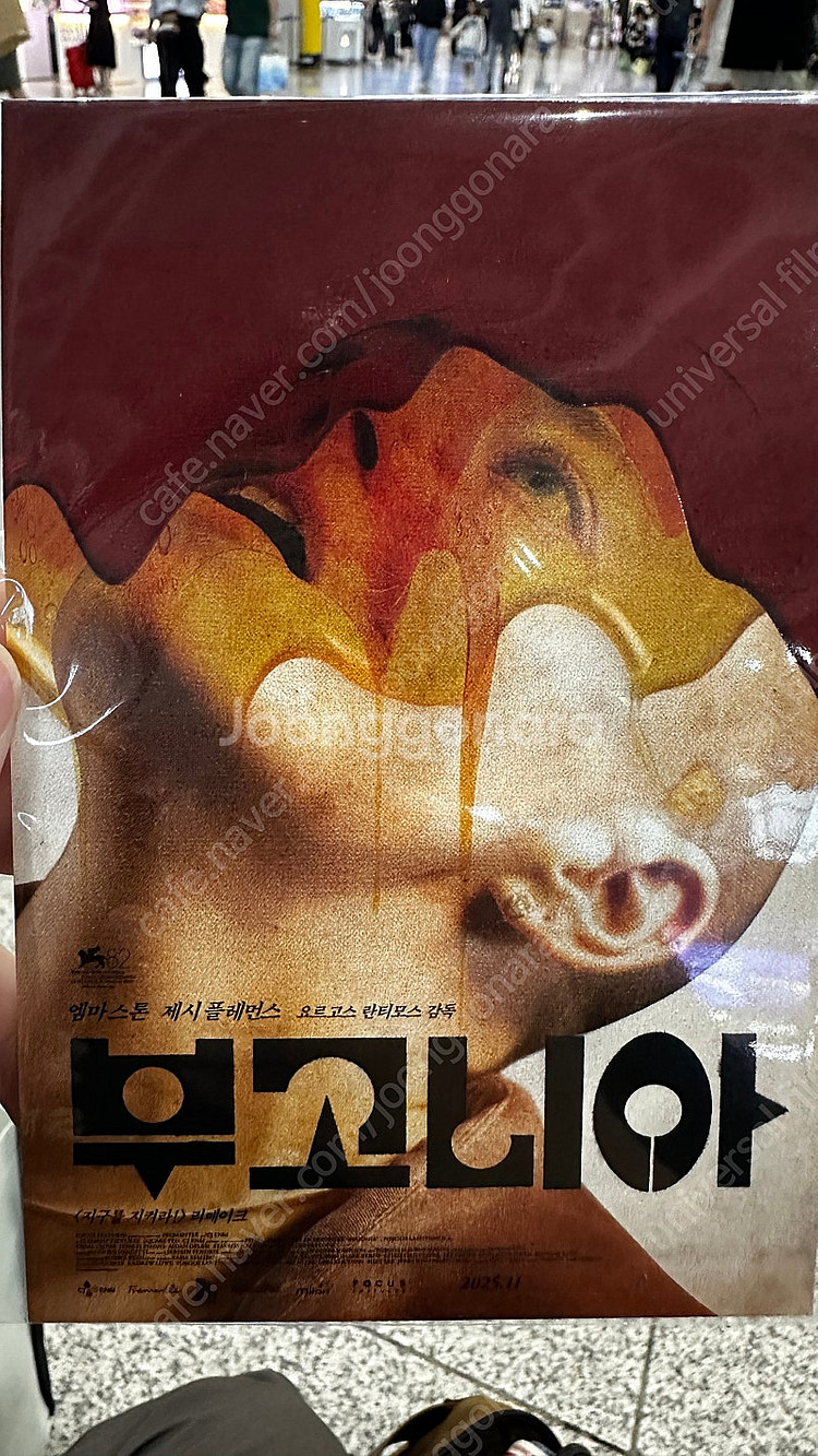 부국제 한정 부고니아 엽서 판매합니다!--0