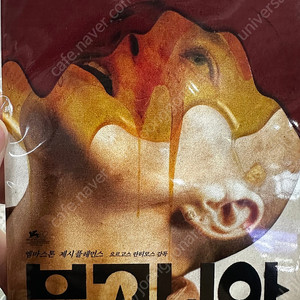부국제 한정 부고니아 엽서 판매합니다!