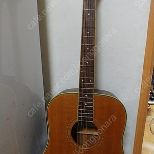 데임발렌타인 100OP