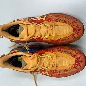 호카 : 호카 스피스피드고트 6 새상품 2E 280mm